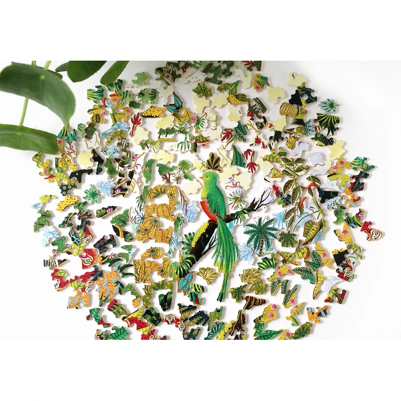 Michele Wilson Puzzles - SPLENDID QUETZAL - (250) - Image 4
